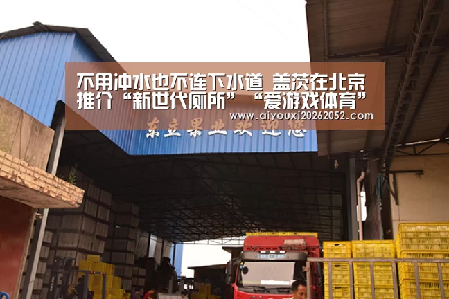 爱游戏赛事