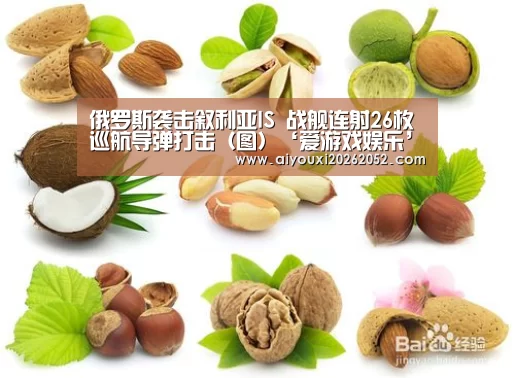 俄罗斯袭击叙利亚IS 战舰连射26枚巡航导弹打击（图）‘爱游