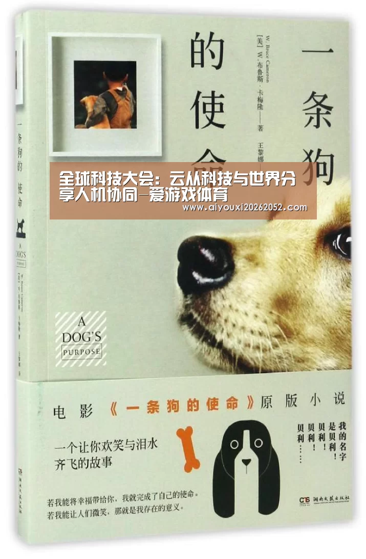 爱游戏竞猜